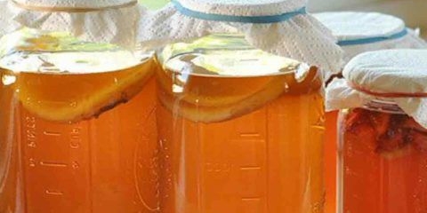 Da li je moguće čuvati kombuchu u frižideru: uslovi i pravila skladištenja